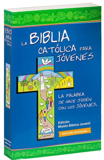 La Biblia Católica para Jóvenes (Gris)